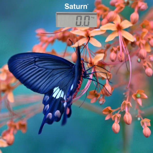 Ваги Saturn ST-PS 0298 (150 кг)
